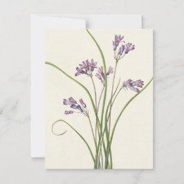 Cartão De Notas Clusteramente por Mary Vaux Walcott