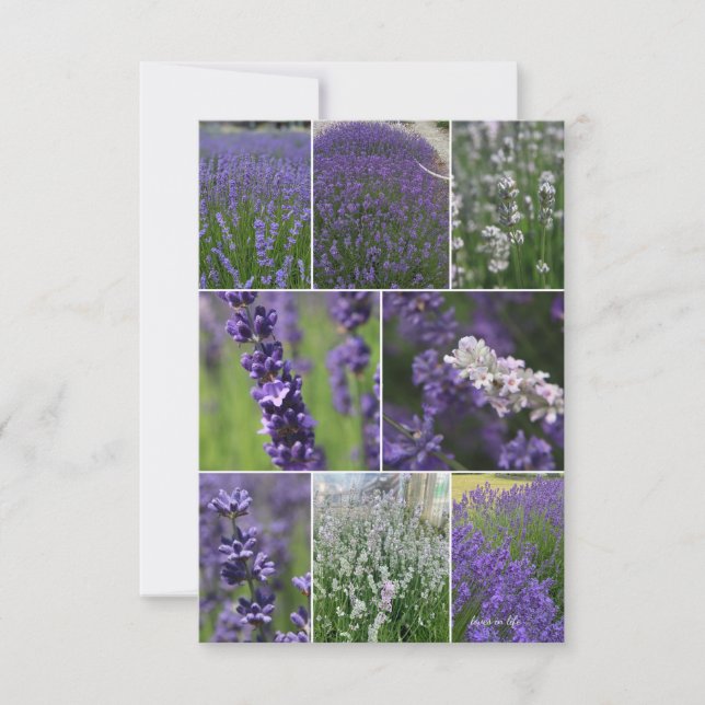 Cartão De Notas Colagem de lavandas 2 (Frente)