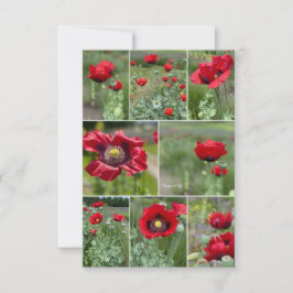 Cartão De Notas Colagem de Red Poppy