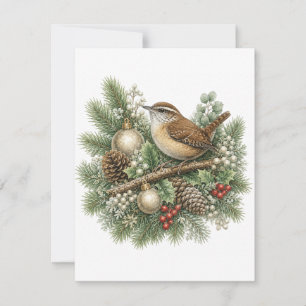 Cartão De Notas Coleção Carolina Wren Winter Songbirds 