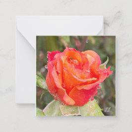 Cartão De Notas Colírio Em Rosas