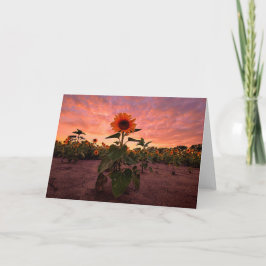 Cartão De Notas Conjunto de Placas de Nota de Vazio 5 x 7