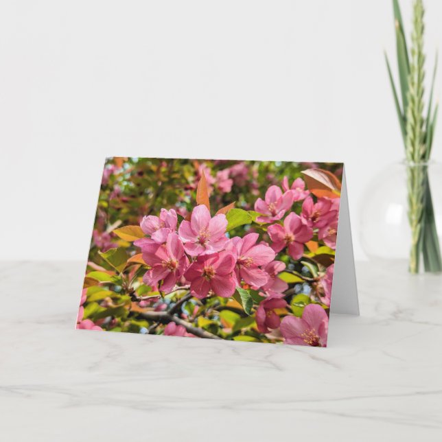 Cartão De Notas Conjunto de Placas de Nota de Vazio 5 x 7 (Frente)