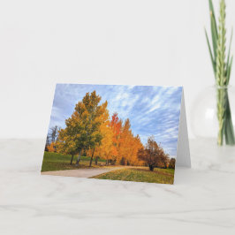 Cartão De Notas Conjunto de Placas de Nota de Vazio 5 x 7