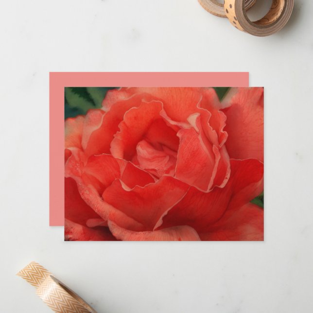 Cartão De Notas Coral Pink Rose Flower Art Note Card Set (Frente/Verso In Situ)