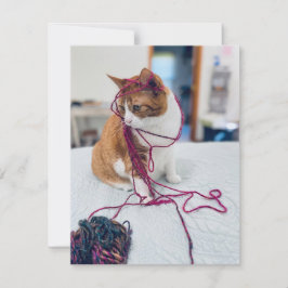 Cartão De Notas Cozy Orange Tabby Note Cards for Cat Lovers