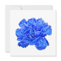 Cravo Azul Serenidade – Nota Floral Vibrante
