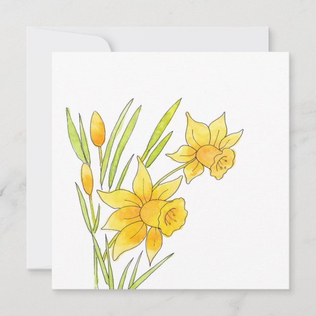 Cartão De Notas Daffodilos de aquarelas e Canetas (Frente)