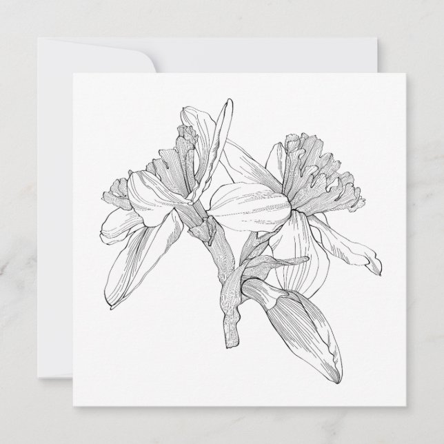 Cartão De Notas Daffodils flores, buquê de linha. (Frente)