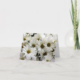 Cartão De Notas Daises