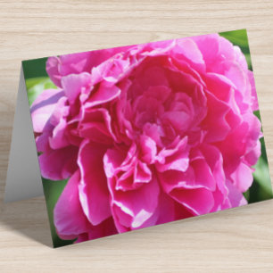 Cartão De Notas Dentro Floral Bonito Rosa Elegante Rosa Dobrado
