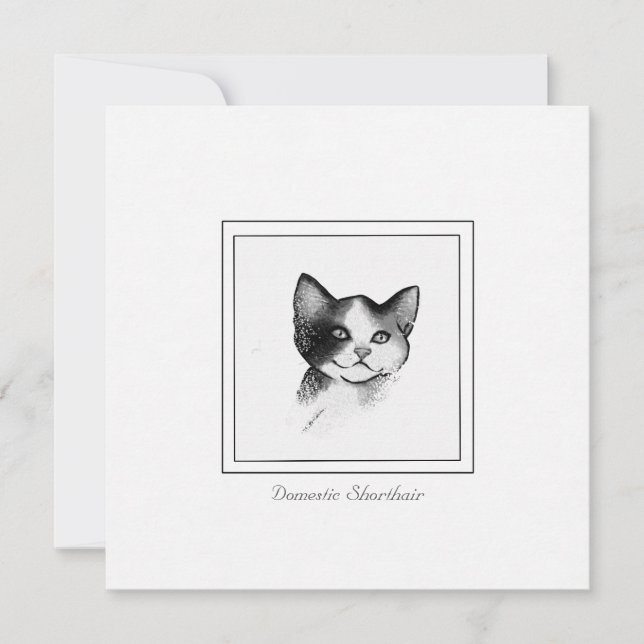 Cartão De Notas Desenho Contemporâneo de Cat de um Shorthair Domés (Frente)
