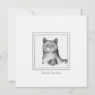 Cartão De Notas Desenho de gato branco e preto