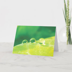 Cartão De Notas Dew Drops na Natureza Pacífica Folha