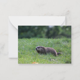 Cartão De Notas Digger de Buraco do Diabo