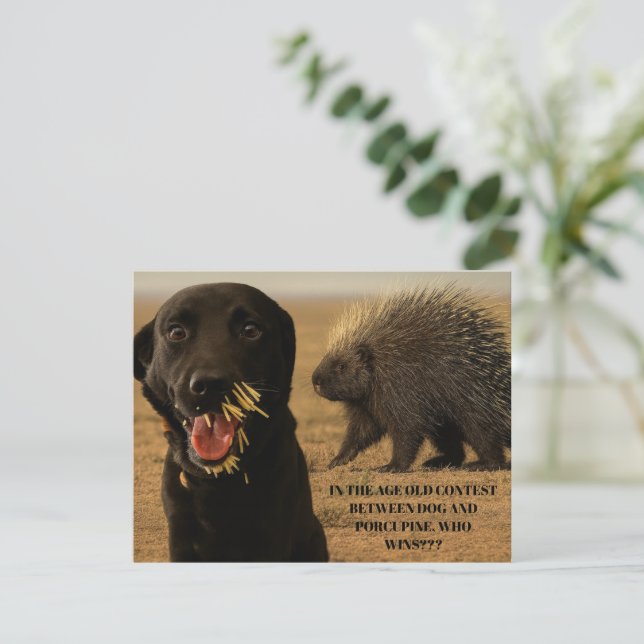 Cartão De Notas Dog vs. Porcupine Card (Em pé/Frente)