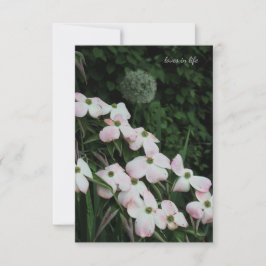 Cartão De Notas Dogwood & Allium