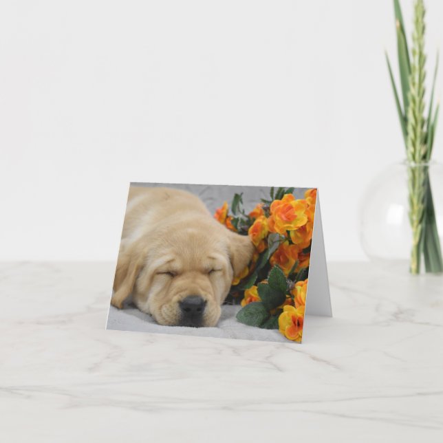 Cartão De Notas Dormir Labrador Puppy com Flores (Frente)