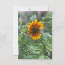 Cartão De Notas DreamLittle Sunflower