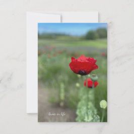 Cartão De Notas Dreamy Red Poppy