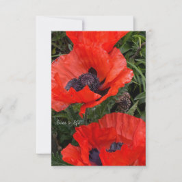 Cartão De Notas Duas Poppies Orientais Laranja