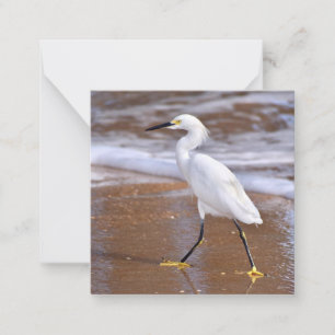 Cartão De Notas Egret no mini jogo de noteca de Praia