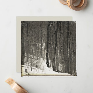 Cartão De Notas Estilo Vintage Floresta Nevada