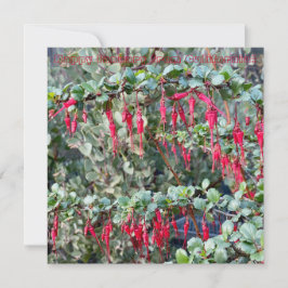 Cartão De Notas Feliz Janeiro da Califórnia!