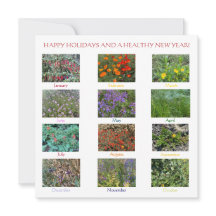 FELIZ NATAL E UM ANO NOVO SAUDÁVEL!