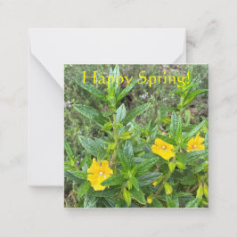 Cartão De Notas Feliz Primavera!