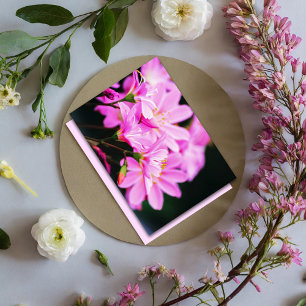 Cartão De Notas Feminino Rosa Floral Fotografia Natureza