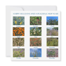 Férias Felizes e um Ano Novo Pacífico!