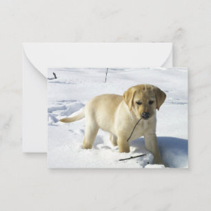 Cartão De Notas Filhote de labrador amarelo na neve