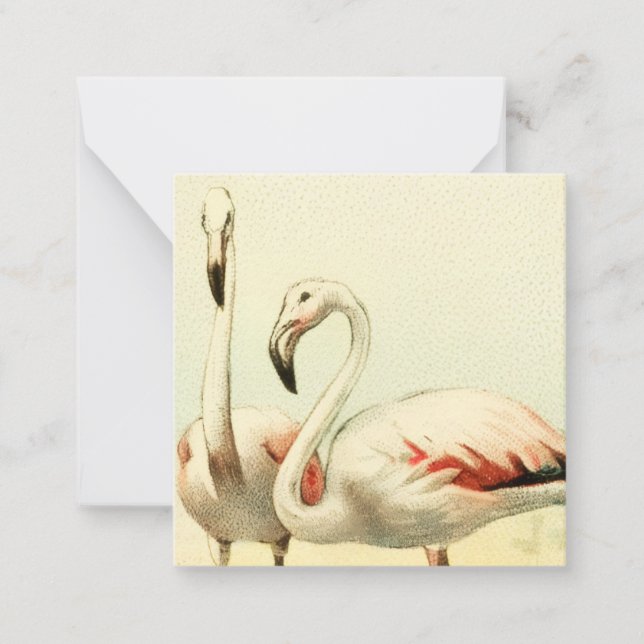 Cartão De Notas Flamingo Antigo (Frente)