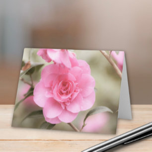 Cartão De Notas Flor de Camela Cor-de-Rosa Suave