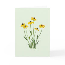 Flor de Suspensões de Olhos Negros