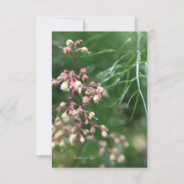 Cartão De Notas Flor Heuchera