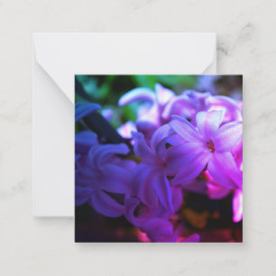 Cartão De Notas Flor Hiacinta (Hyacinthus), rosa Pastel