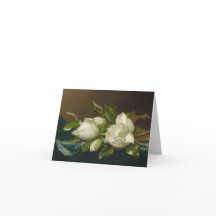 Flor Magnolia