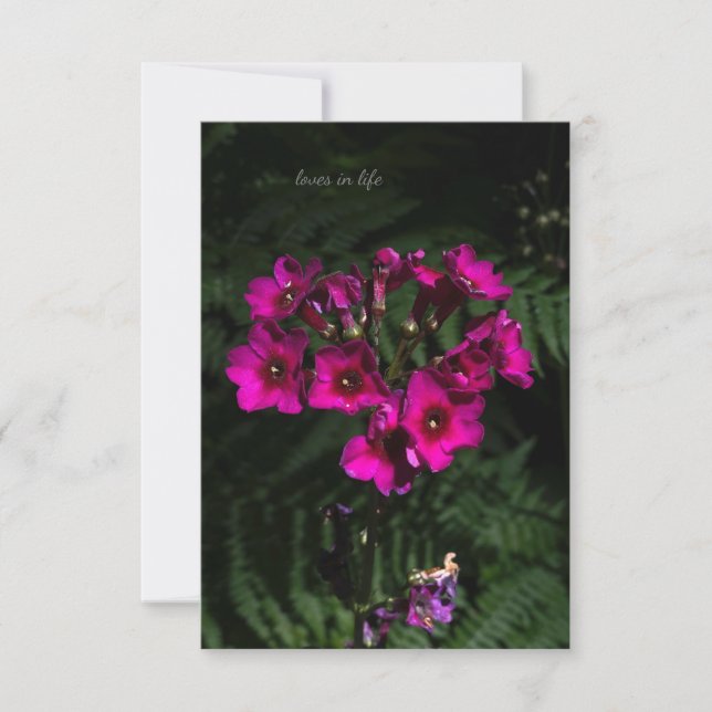 Cartão De Notas Flor Rosa Escuro com Ferns (Frente)