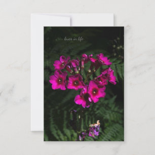 Cartão De Notas Flor Rosa Escuro com Ferns