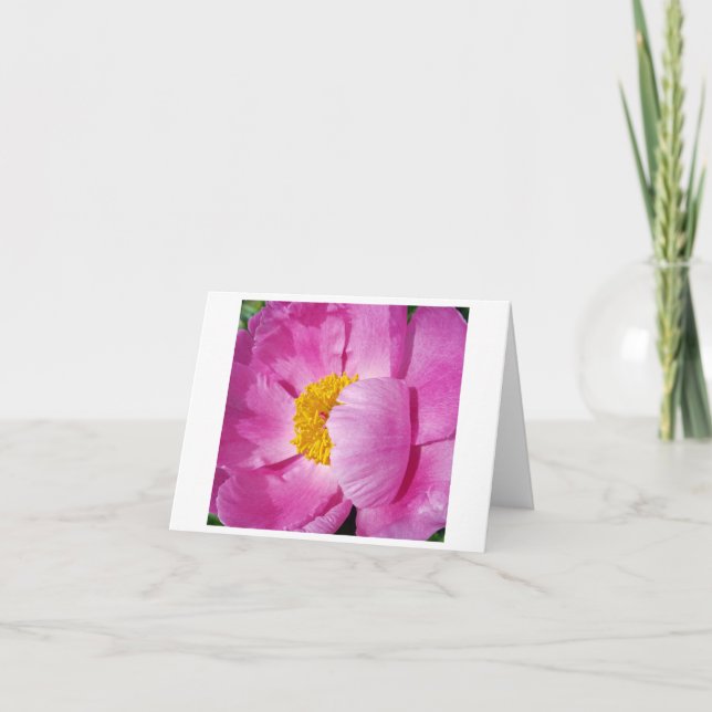 Cartão De Notas Floral rosa e amarela (Frente)