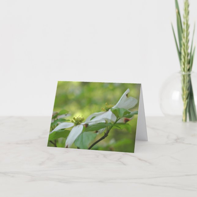 Cartão De Notas Flores de Dogwood Personalizadas  (Frente)