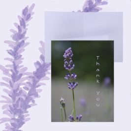 Cartão De Notas Flores de Lavanda Floral Fotográfico Botânico