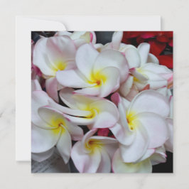 Cartão De Notas Flores de Plumeria de Bordas Rosadas – Nota Tropic