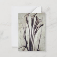 Flores de Raios X bonito Vintage