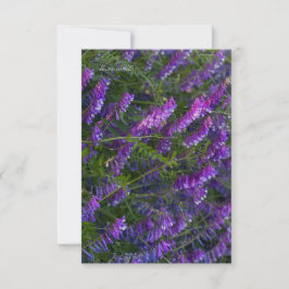 Cartão De Notas Flores De Vetch Roxo
