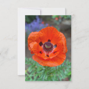 Cartão De Notas Flores Orientais Laranja E Lavandas