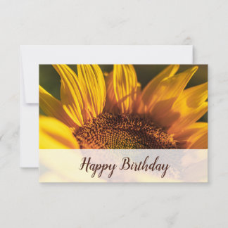 Cartão De Notas Florista Girassol Foto Feliz Aniversário