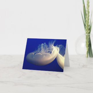 Cartão de Notas Folha Dupla